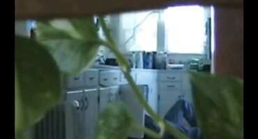 follando con una mujer negra