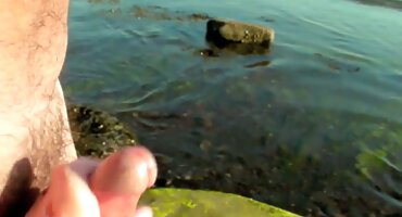 Comprado con dinero y dado en la mesa de la cocina